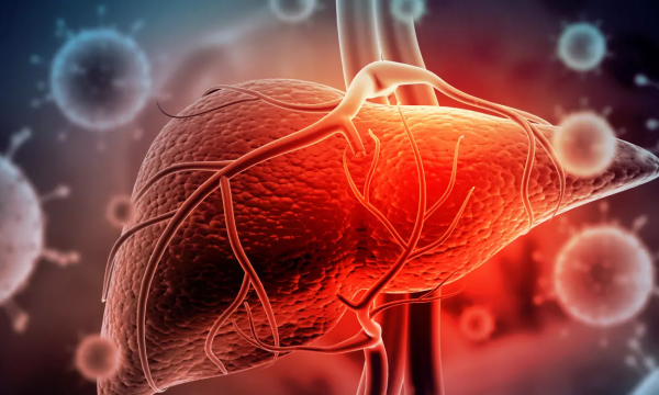 Признаки загрязненной печени и как ее очищать: совет